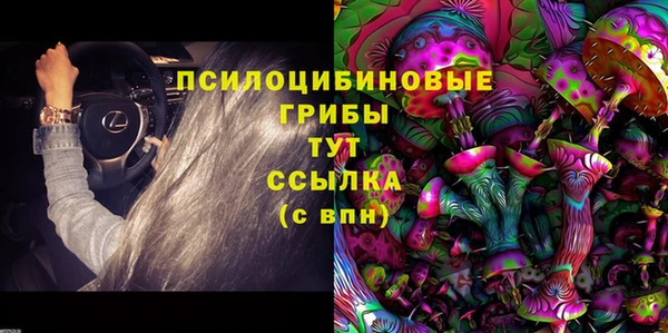 скорость Алзамай
