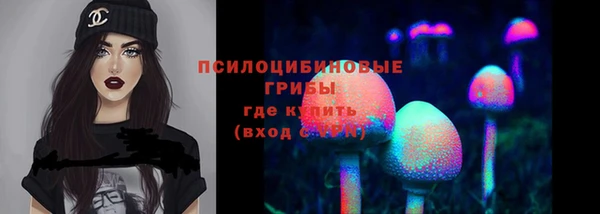скорость Алзамай