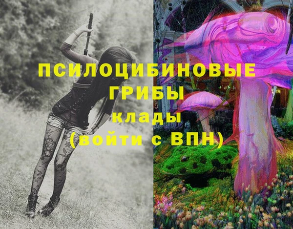 мяу мяу мука Алексеевка