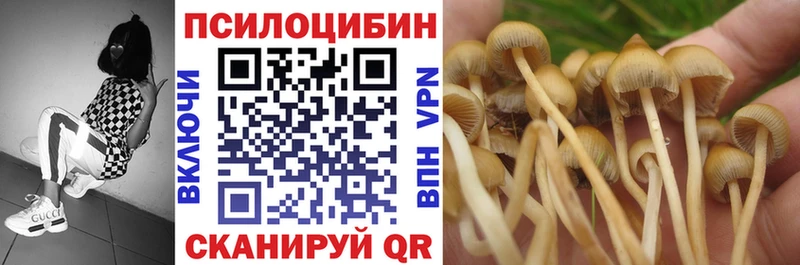 Псилоцибиновые грибы GOLDEN TEACHER  закладки  ОМГ ОМГ как зайти  Джанкой 
